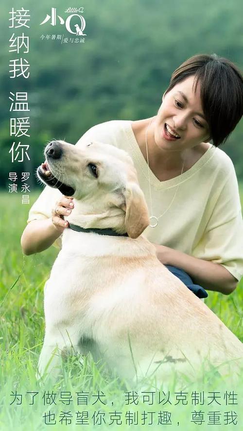 雷恩第二大学Computer Science Diploma